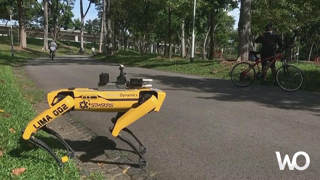 Singapur Sosyal Mesafeyi Desteklemek İçin Robot ‘Köpek’ Kullanıyor