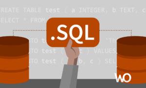 SQL INSERT İLE VERİ EKLEME İŞLEMİ